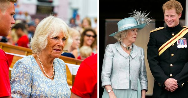 Queen Camilla’s Upset Over Prince Harry’s Visit - Dailywize